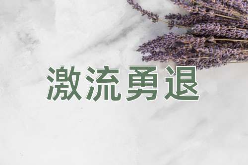 成语激流勇退