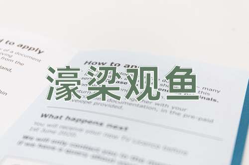 成语濠梁观鱼