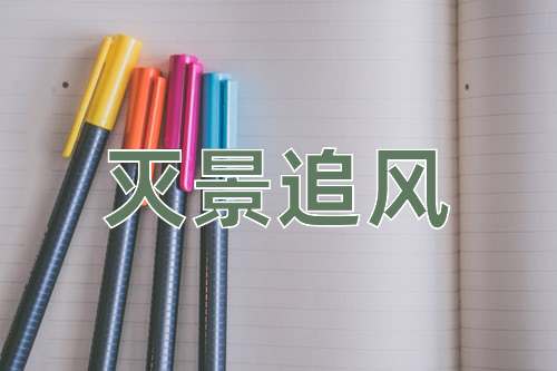 成语灭景追风