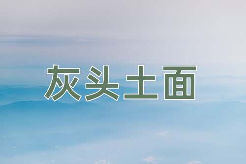 成语灰头土面