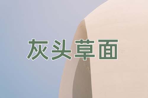 成语灰头草面