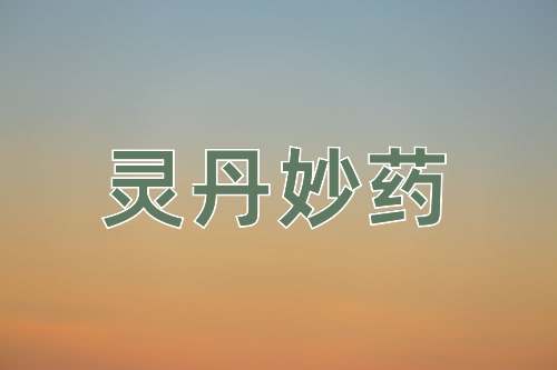 成语灵丹妙药