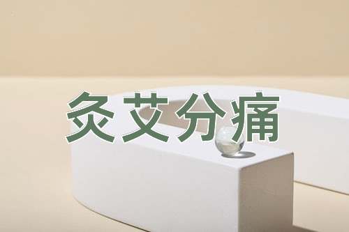 成语灸艾分痛
