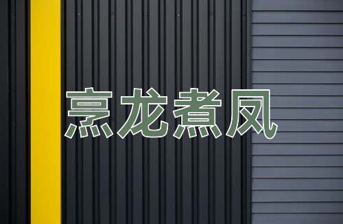 成语烹龙煮凤