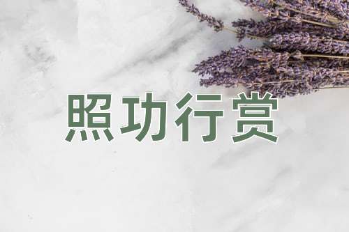 成语照功行赏