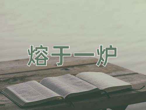 成语熔于一炉
