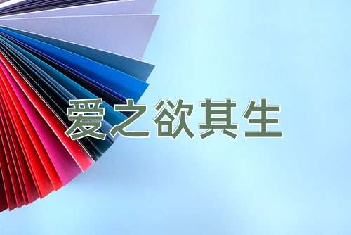 成语爱之欲其生