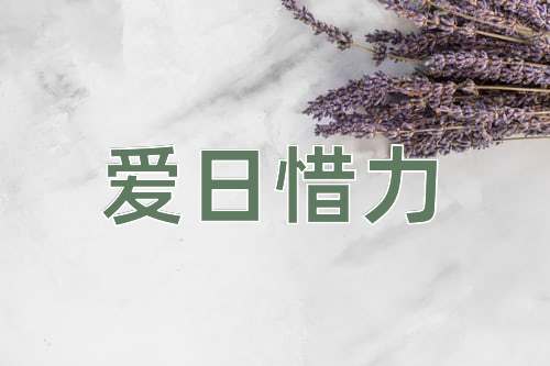 成语爱日惜力