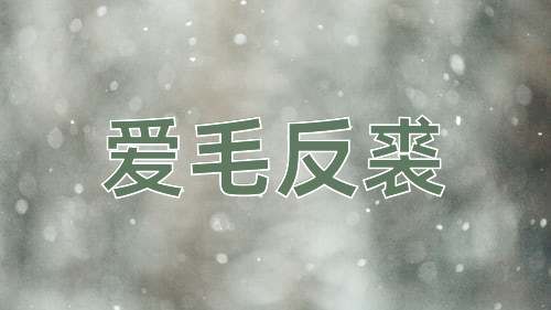 成语爱毛反裘