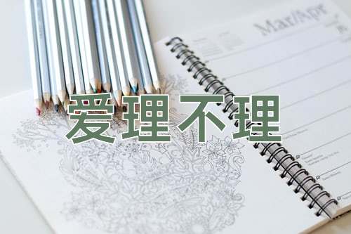成语爱理不理