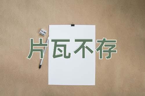 成语片瓦不存