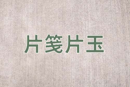 成语片笺片玉