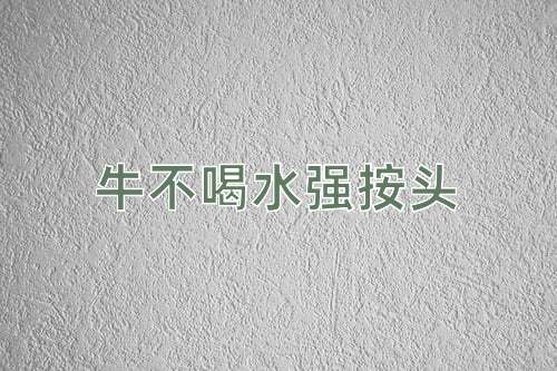 成语牛不喝水强按头