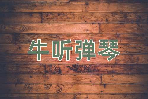 成语牛听弹琴