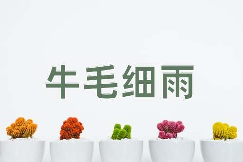 成语牛毛细雨