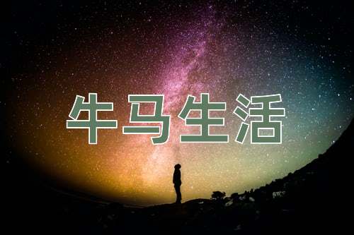 成语牛马生活