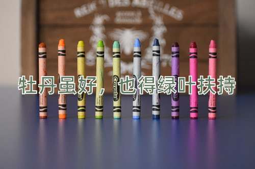 成语牡丹虽好，也得绿叶扶持