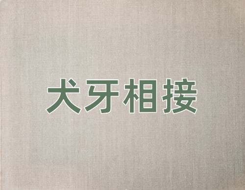 成语犬牙相接