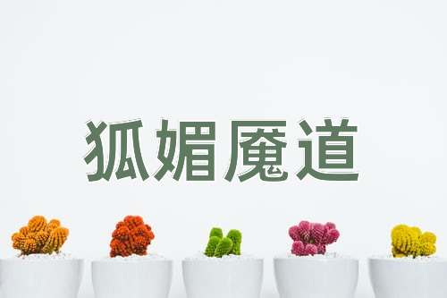 成语狐媚魇道