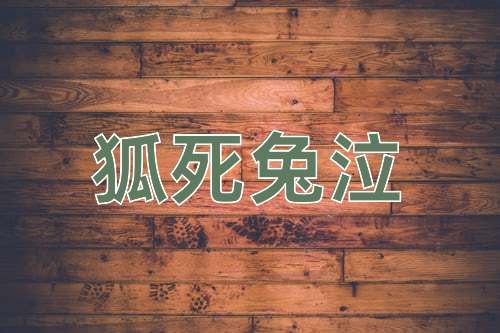 成语狐死兔泣