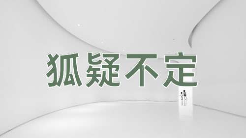 成语狐疑不定