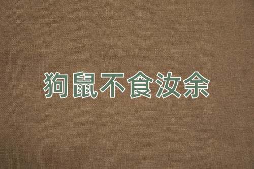 成语狗鼠不食汝余