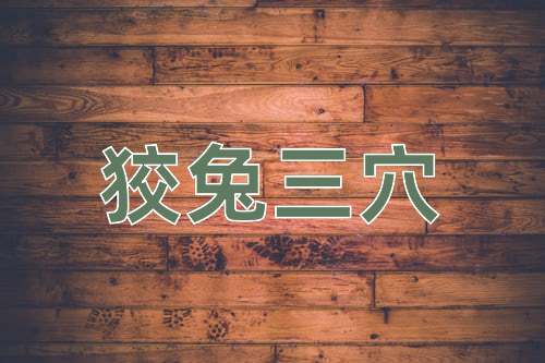 成语狡兔三穴
