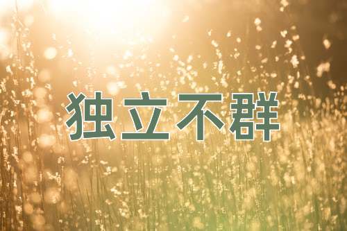 成语独立不群