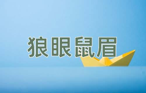 成语狼眼鼠眉