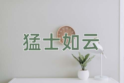 成语猛士如云