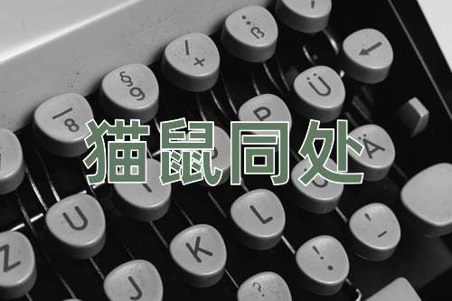 成语猫鼠同处