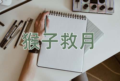 成语猴子救月