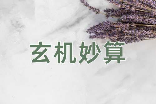 成语玄机妙算