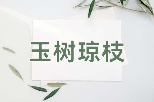 成语玉树琼枝