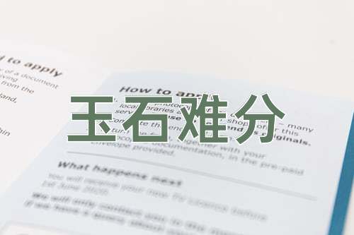 成语玉石难分