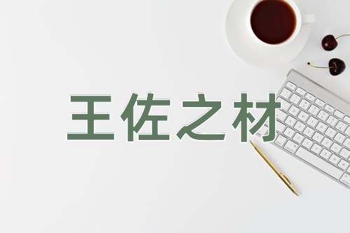 成语王佐之材
