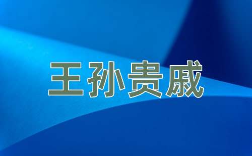 成语王孙贵戚