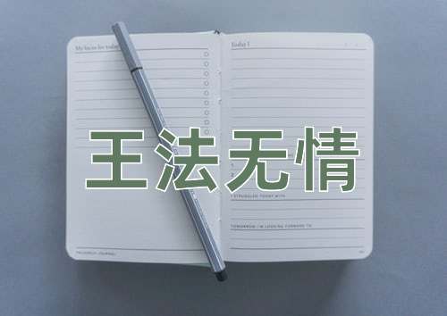 成语王法无情
