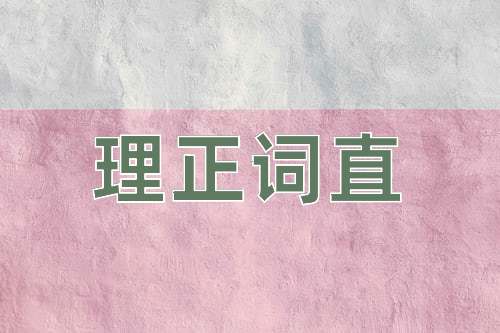 成语理正词直
