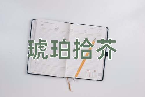 成语琥珀拾芥