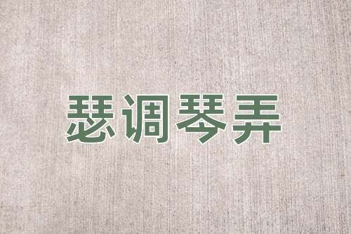 成语瑟调琴弄