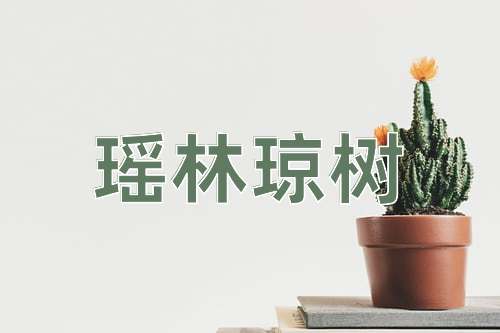 成语瑶林琼树