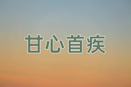 成语甘心首疾