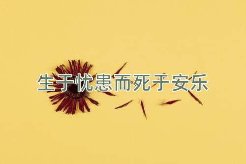 成语生于忧患而死于安乐