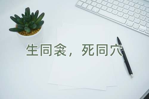成语生同衾，死同穴
