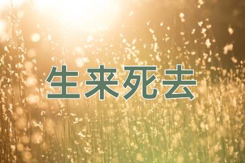 成语生来死去