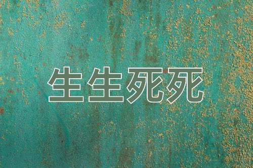 成语生生死死