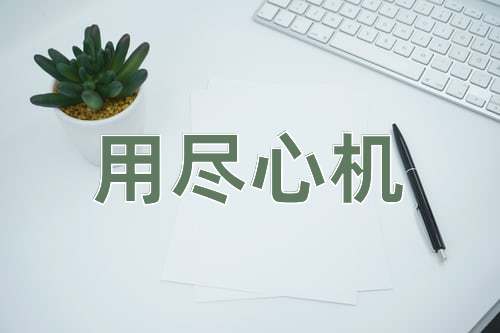 成语用尽心机