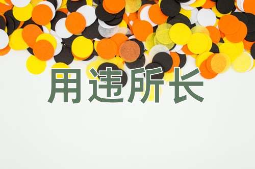 成语用违所长