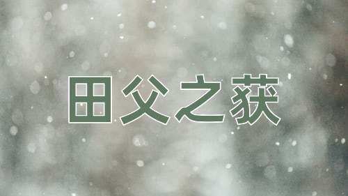 成语田父之获